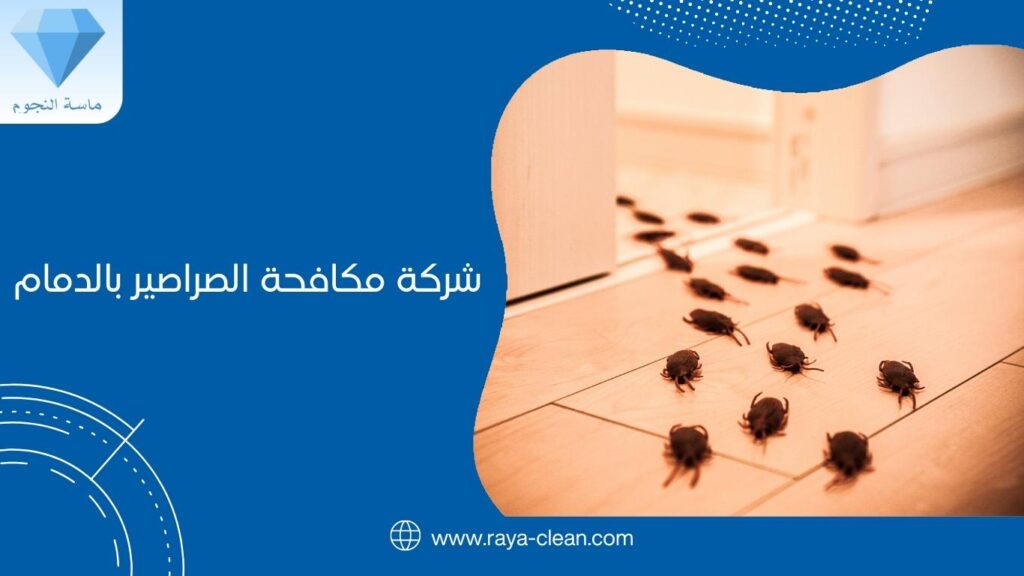 شركة مكافحة الصراصير بالدمام