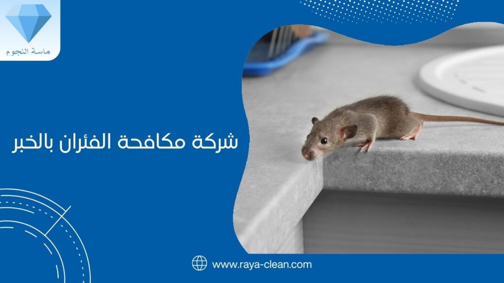 شركة مكافحة الفئران بالخبر