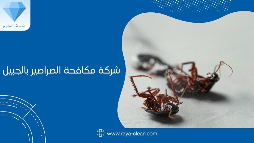 شركة مكافحة الصراصير بالجبيل